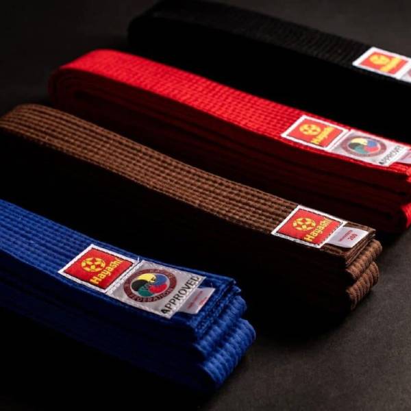 karate belt order kids