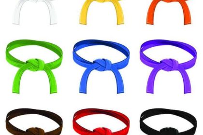 karate belt order kids