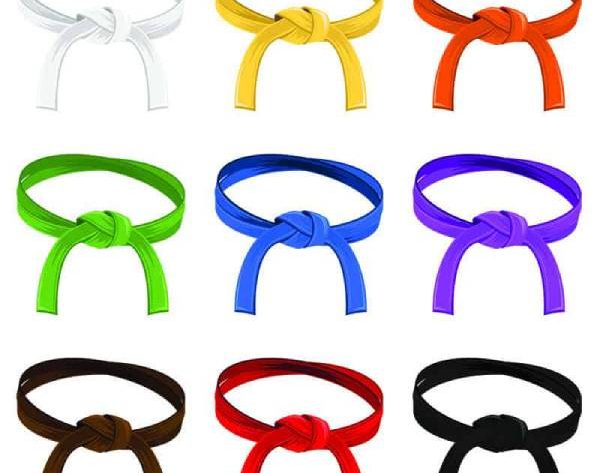 karate belt order kids