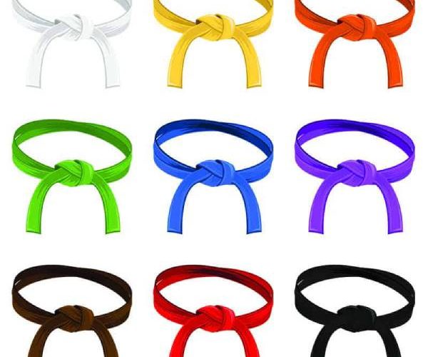 karate belt order kids