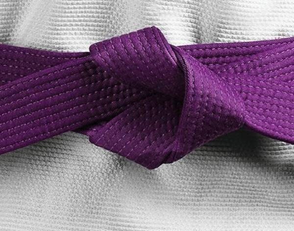 purple belt in jiu jitsu