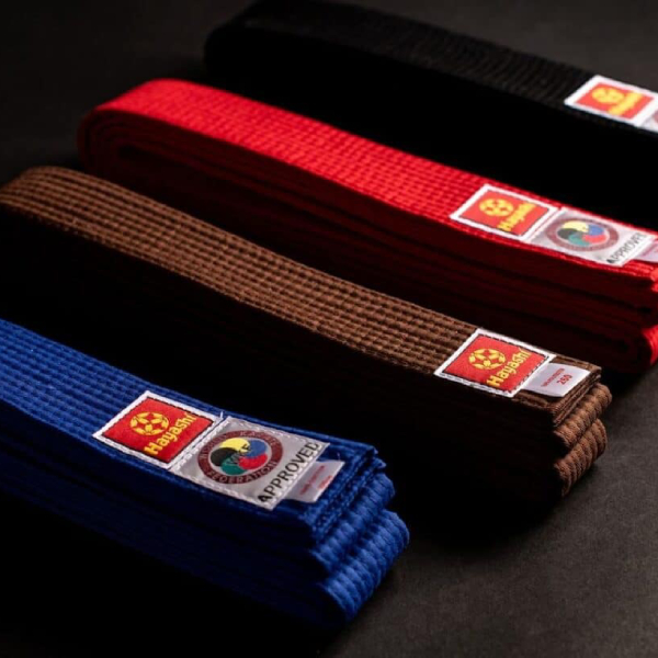 karate belt order kids