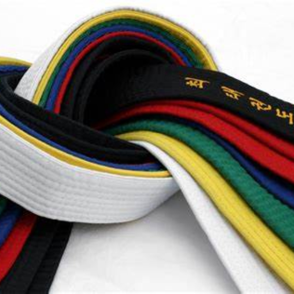 martial art belt colors