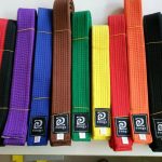 martial art belt colors