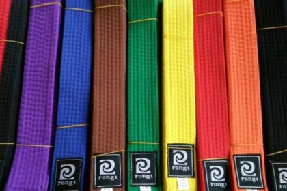 martial art belt colors